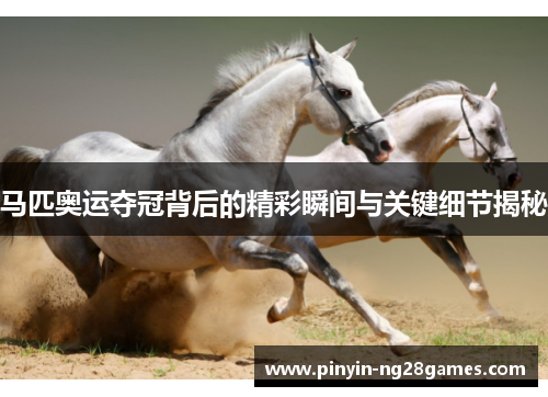 马匹奥运夺冠背后的精彩瞬间与关键细节揭秘 马匹奥运夺冠背后的精彩瞬间与关键细节揭秘