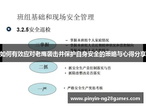 如何有效应对老鹰袭击并保护自身安全的策略与心得分享 如何有效应对老鹰袭击并保护自身安全的策略与心得分享