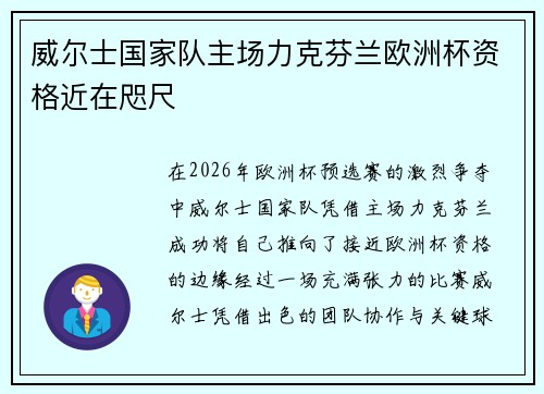 威尔士国家队主场力克芬兰欧洲杯资格近在咫尺