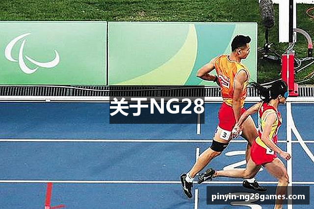 关于NG28
